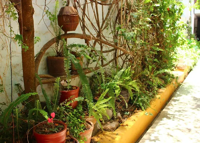 Hotel Casa De Mama 2-the Ecohouse 3*