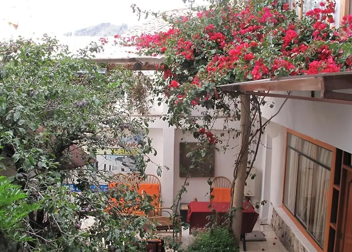 Casa De Mama 2-the Ecohouse Hotel